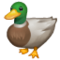 बतख