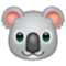 कोआला