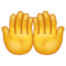 एक साथ ऊपर की ओर हथेलियाँ