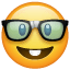 नर्ड चेहरा