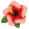 गुड़हल