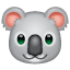 कोआला