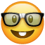 नर्ड चेहरा