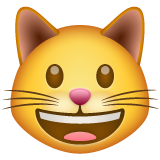 Rosto De Gato Sorrindo