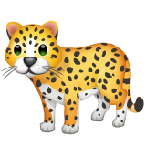 Leopardo