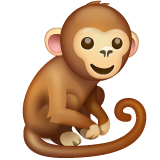 Macaco
