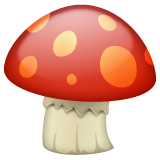 Cogumelo