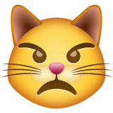 Rosto De Gato Mal-Humorado