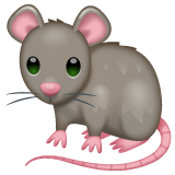 Rato