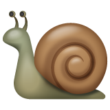 Caracol