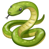 Cobra