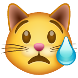 Плачущий кот