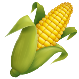 Кукурузный початок
