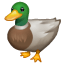 बतख