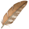 पंख