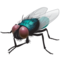 मक्खी