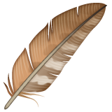 पंख
