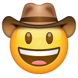 Visage Avec Chapeau De Cowboy