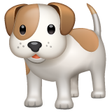 Chien