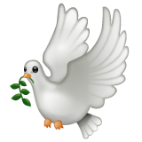 Colombe