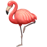 Flamant Rose