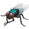 Mouche