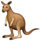Kangourou