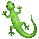 Lézard