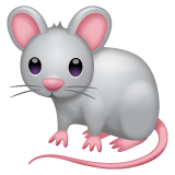 Souris