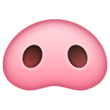 Groin