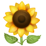 Tournesol