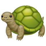 Tortue