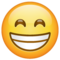 Visage Souriant Aux Yeux Rieurs
