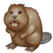 Castor