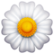 Fleur Épanouie