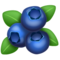 Myrtilles