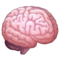 Cerveau
