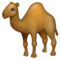 Dromadaire