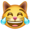 Chat Qui Pleure De Joie