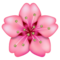 Fleur De Cerisier