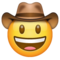 Visage Avec Chapeau De Cowboy