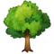Arbre À Feuilles Caduques