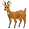 Cerf