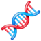 DNA