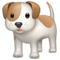 Chien