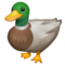 Canard