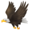 Aigle