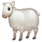 Mouton