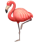 Flamant Rose