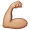 Biceps Contracté: Peau Moyennement Claire